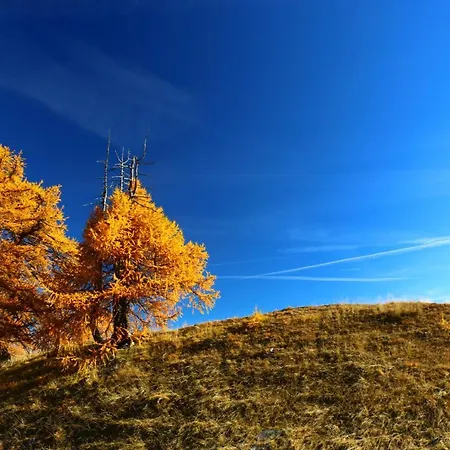 Bed & Breakfast Alpina 3*