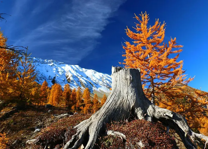 Alpina Santa María Val Mustair