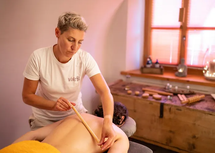 Bed and breakfast Alpina 3*