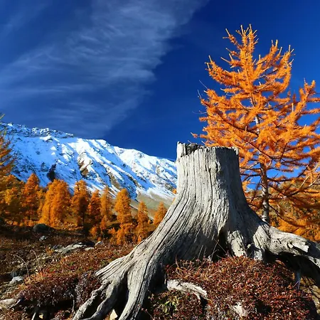 Alpina Sta Maria Val Müstair