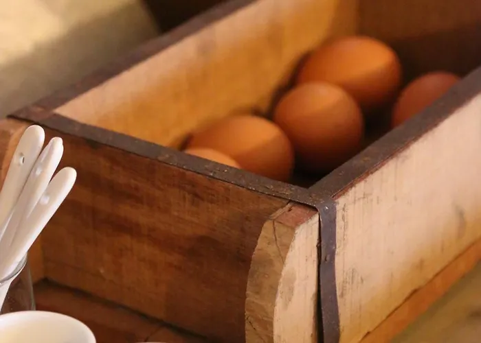 Alpina Panzió Sta Maria Val Müstair